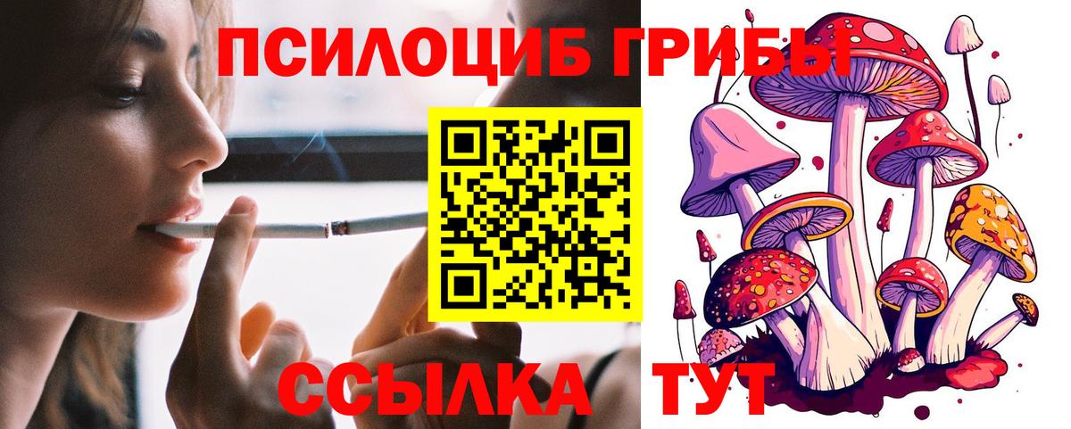 Галлюциногенные грибы ЛСД  Галлюциногенные грибы Psilocybe  Вход с VPN  Строитель 